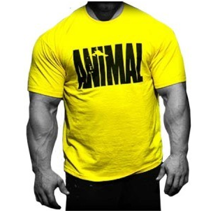 UNIVERSAL  - Iconic Shirt