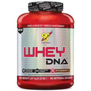 BSN  DNA whey  1,8 kg