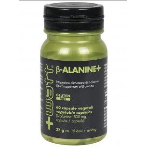 +WATT  Beta Alanine+  90 cps 2